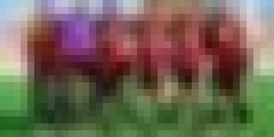 إتحاد العاصمة يستهدف الفوز أمام سان بيدرو الإيفواري والدخول بقوة في دور المجموعات