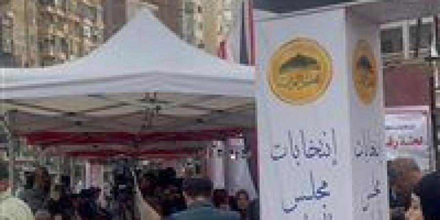 «نسبة مشاركة السيدات كبيرة»..إقبال لافت بالدقهلية في اليوم الأول للانتخابات