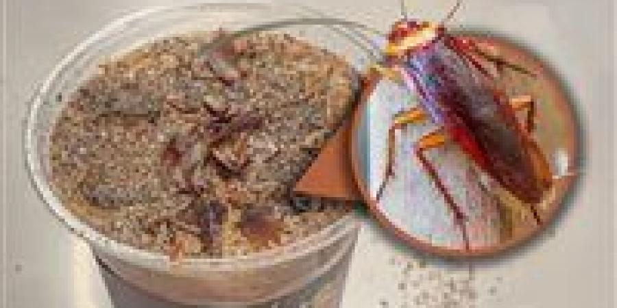 قهوة الصراصير والنمل تكتسح الصين.. مشروب غريب يتحول إلى ظاهرة شبابية