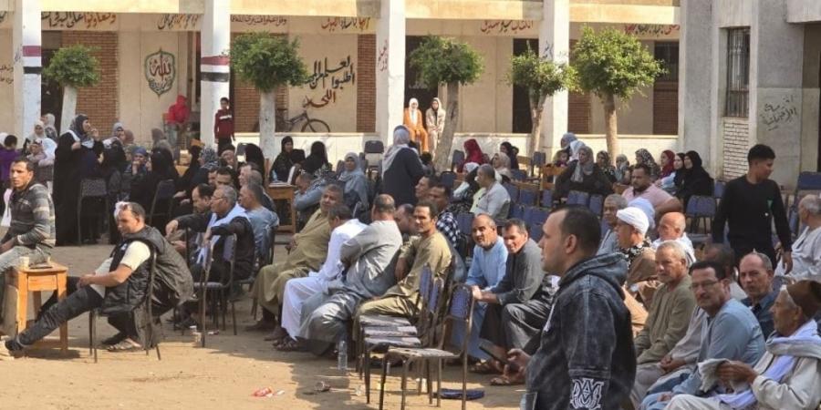 بأعداد كبيرة.. استمرار توافد المواطنين للإدلاء بأصواتهم بلجان محافظة المنوفية
