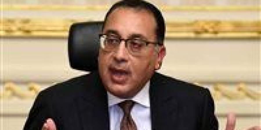 الوزراء: مصر ستستمر فى دعم كافة الجهود الرامية لحفظ أمن واستقرار القارة الإفريقية