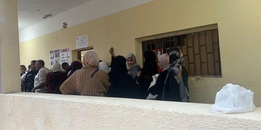 انتخابات مجلس النواب 2025.. التنسيقية: استمرار توافد الناخبين على لجان الاقتراع بالإسماعيلية