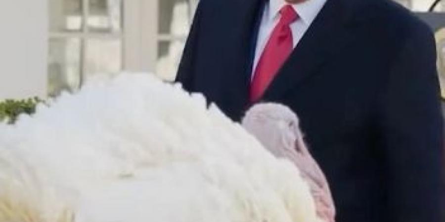 ترامب يعفو عن ديك رومي في تقليد سنوي بمناسبة عيد الشكر الأمريكي