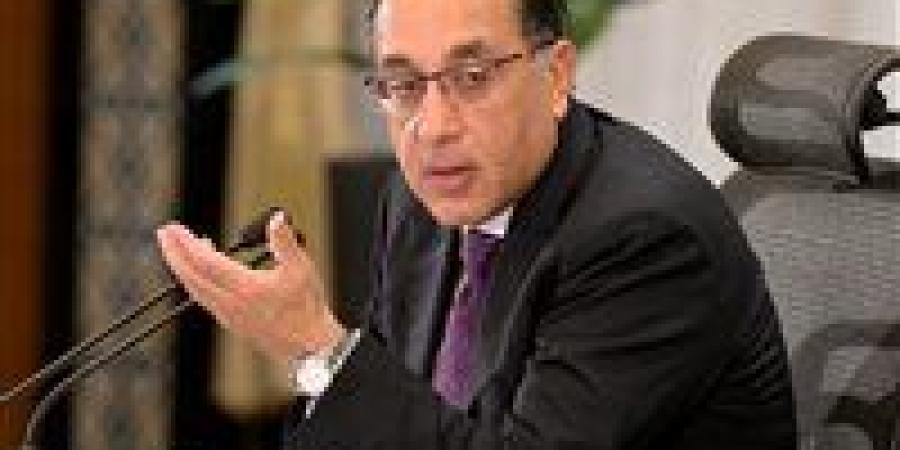 الوزراء: مصر ترفض الإجراءات الأحادية بالقرن الأفريقي وتدين انتهاكات الفاشر