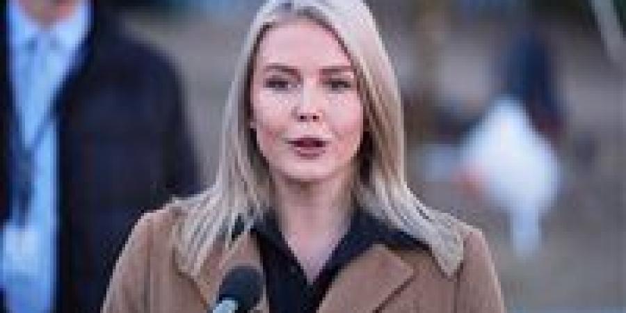 البيت الأبيض: ترامب أوقف تمويل الحرب في أوكرانيا ويؤكد استمرار المفاوضات