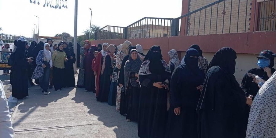 إقبال كثيف وطوابير في لجان جنوب سيناء في مدارس جيل أكتوبر للمشاركة بانتخابات مجلس النواب
