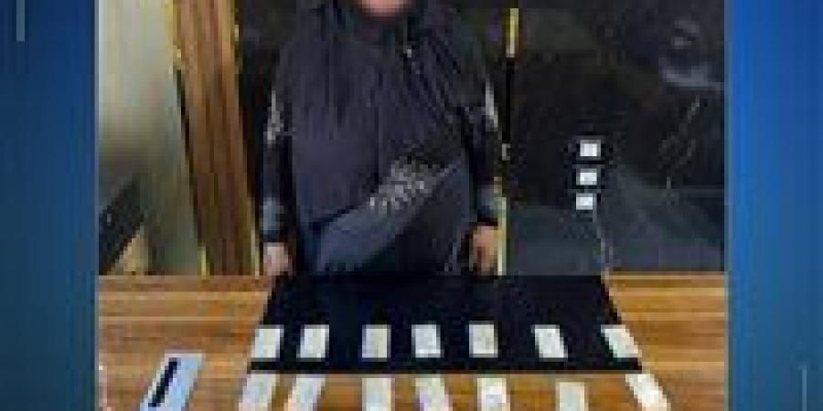 ضبط سيدة بحوزتها بطاقات مواطنين لتوجيه الناخبين بسيدي سالم في كفر الشيخ