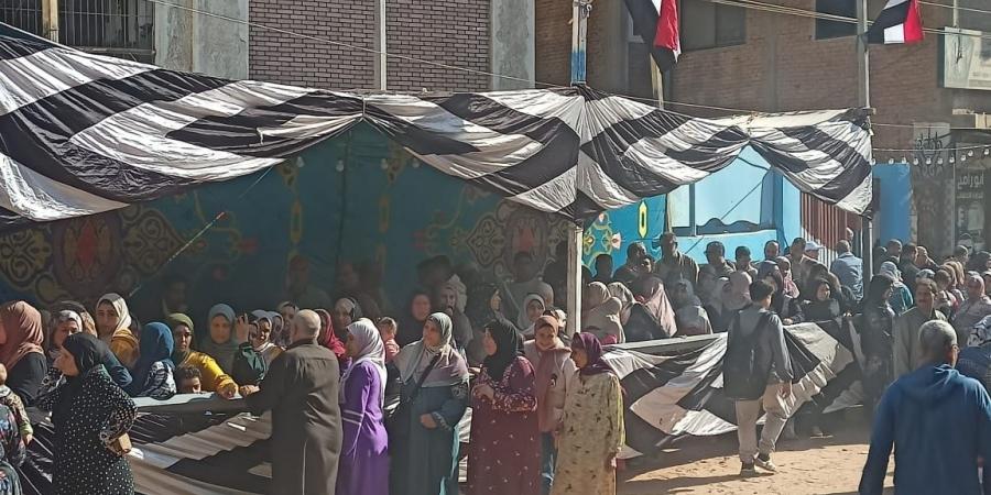 تزايد إقبال الناخبين في لجنة بلقينا بمحافظة الغربية للتصويت في انتخابات مجلس النواب