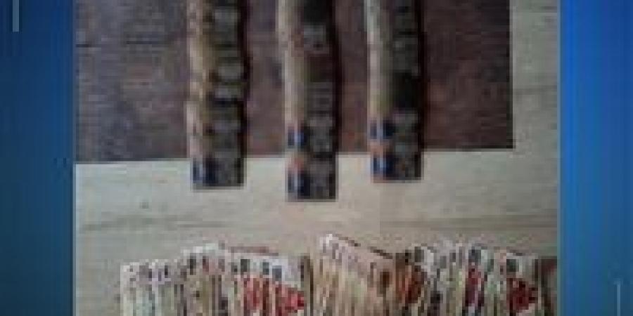 الداخلية تضبط 4 أشخاص يوزعون كروت مالية ودعائية على الناخبين بالقاهرة