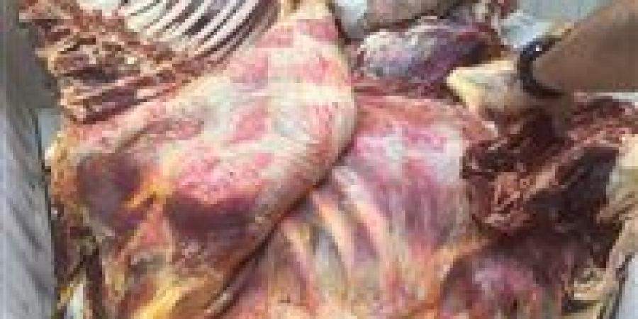 ضبط لحوم غير صالحة وتحرير 212 محضرًا خلال حملات رقابية مكثفة على الأسواق والمخابز خلال 4 أيام