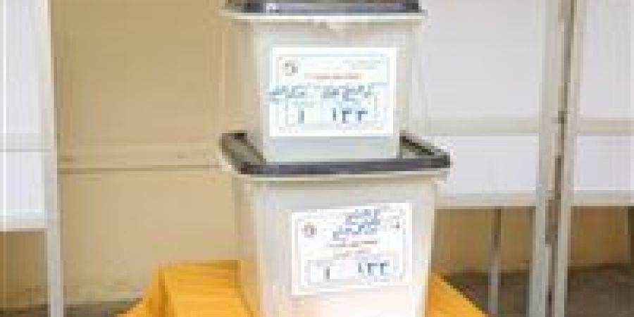 بعد واقعة الستاموني.. السجن عقوبة تكسير صناديق الاقتراع| تحيا مصر يكشف التفاصيل