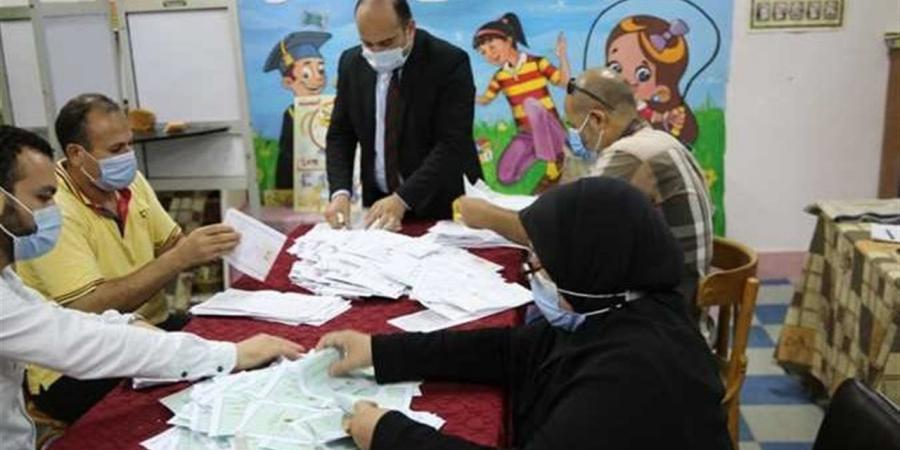 حسم مقعد وإعادة على آخر.. نتيجة الحصر العددى للجنة الثالثة فى الإسماعيلية