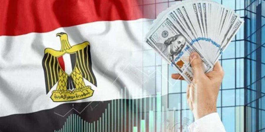 اقتصاديون لـ"الدستور": مصر أصبحت قبلة للاستثمارات الأجنبية بفضل بيئة عمل مستقرة وإصلاحات هيكلية قوية