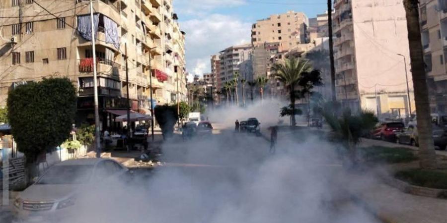 حفاظًا على الصحة العامة.. حي العجمي يواصل حملات رش الحشرات والقوارض
