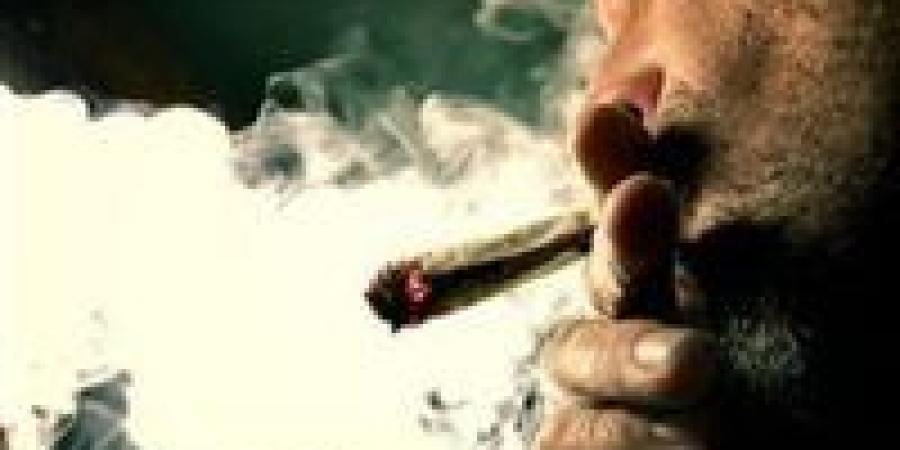 تعاطوا مخدرات أثناء العمل.. قرار عاجل من محافظ أسوان ضد 9 موظفين