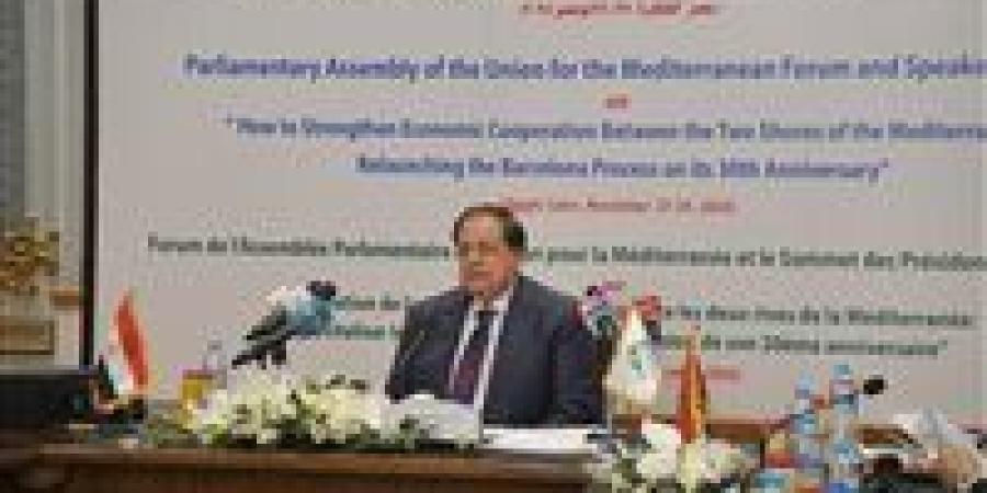 أبو العينين: القضية الفلسطينية جوهر الصراع في الشرق الأوسط والحروب لا تحل أي أزمة