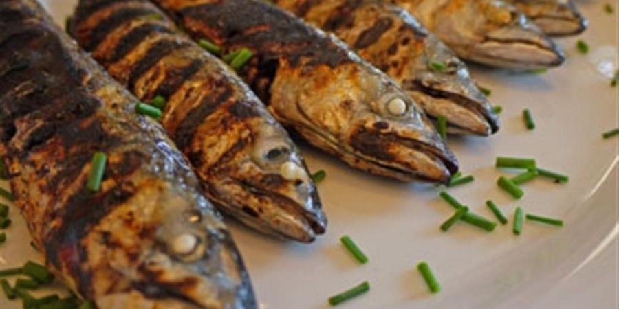 6 فوائد لسمك الماكريل تعزز صحة المرأة وتحسن طاقتها