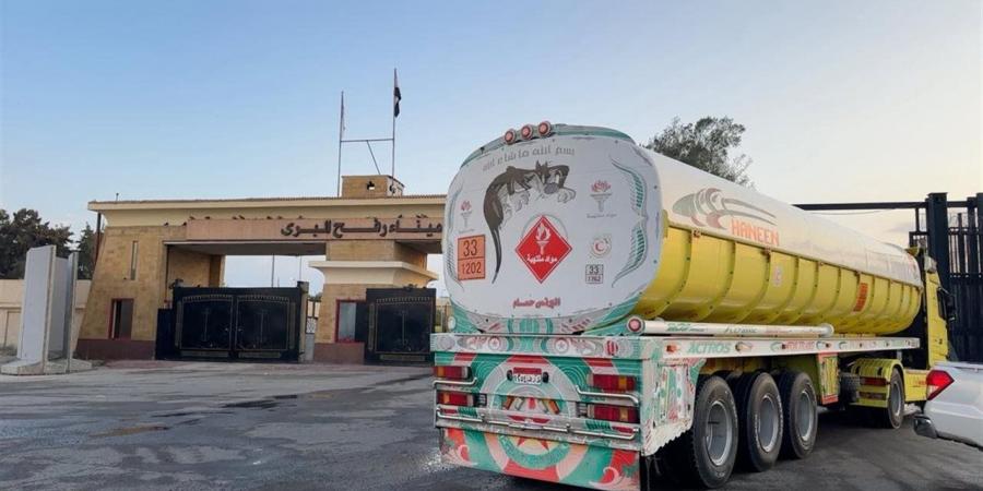 اللجنة المصرية تواصل جهودها الإنسانية لإغاثة أهل غزة وسط إشادة أممية «فيديو»