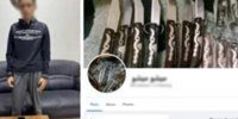 ضبط متهم أنشأ صفحة وهمية لبيع الأسلحة البيضاء على الإنترنت