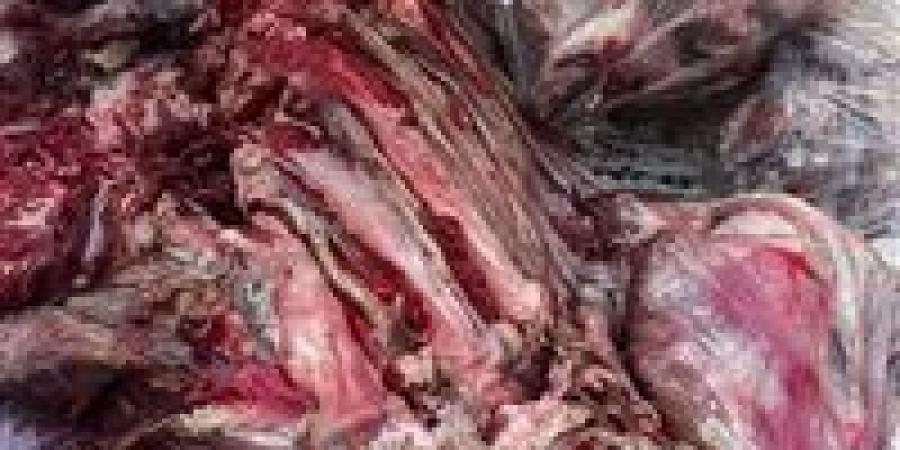 ضبط لحوم غير صالحة للاستهلاك الآدمي وتحمل أختام مزورة في إحدى محال الجزارة بالأقصر