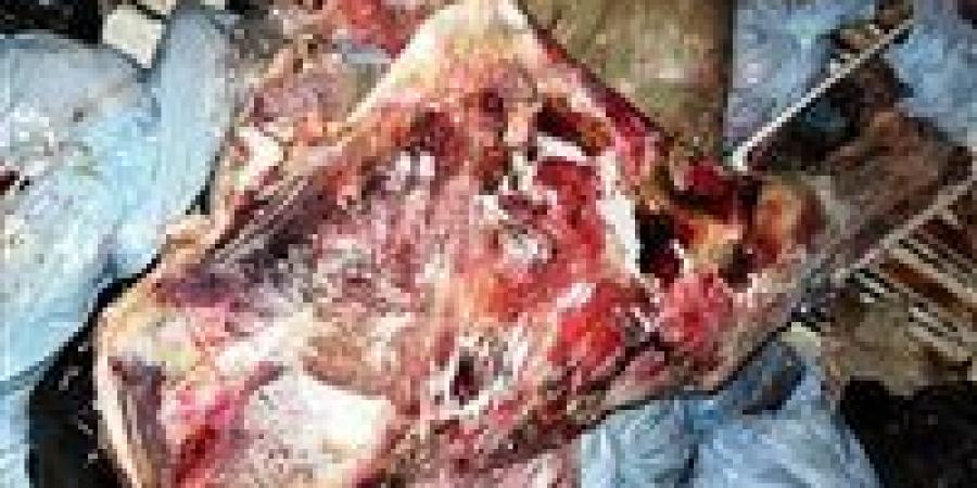أسوان: ضبط 186 كجم لحوم فاسدة متنوعة وتحرير 6 محاضر مخالفة