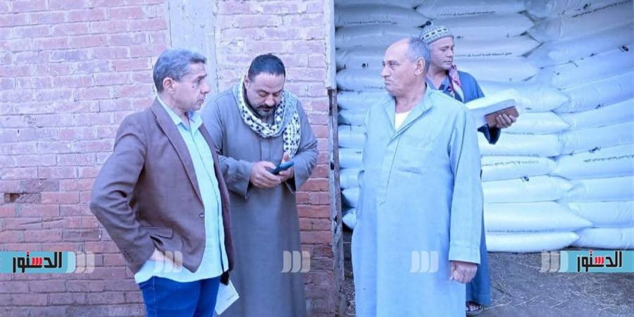 زراعة كفر الشيخ: مرور ميداني مكثف لمتابعة الحيازات والمحاصيل والأسمدة