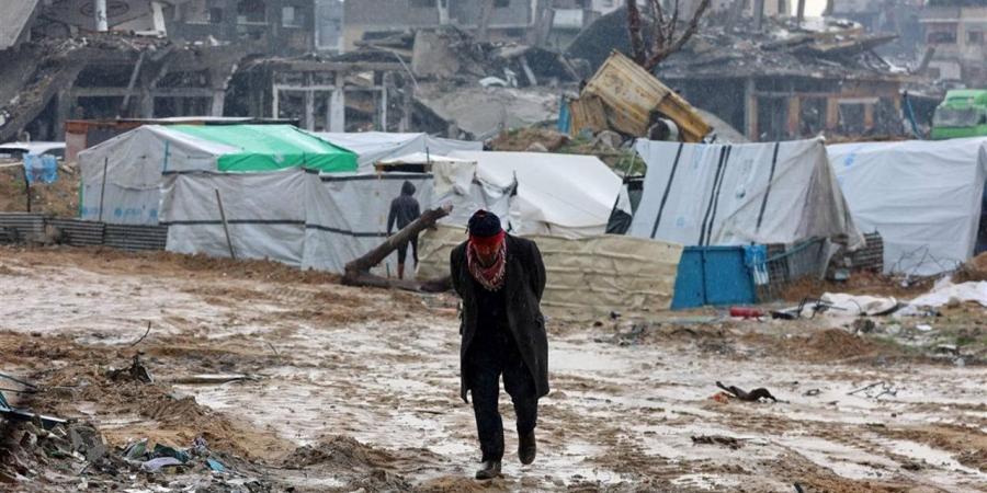 مؤرخ فرنسي بعد زيارته لغزة: إسرائيل تدعم سارقي قوافل المساعدات الإنسانية