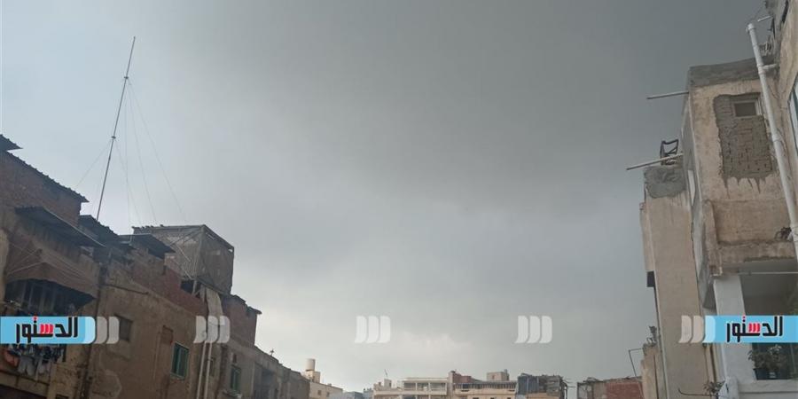 أمطار خفيفة وغيوم كثيفة في كفر الشيخ (بث مباشر)