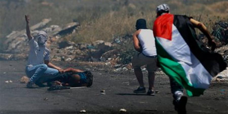 في يوم التضامن.. كيف تسهم مصر في تحريك المجتمع الدولي نحو إنهاء معاناة الفلسطينيين؟