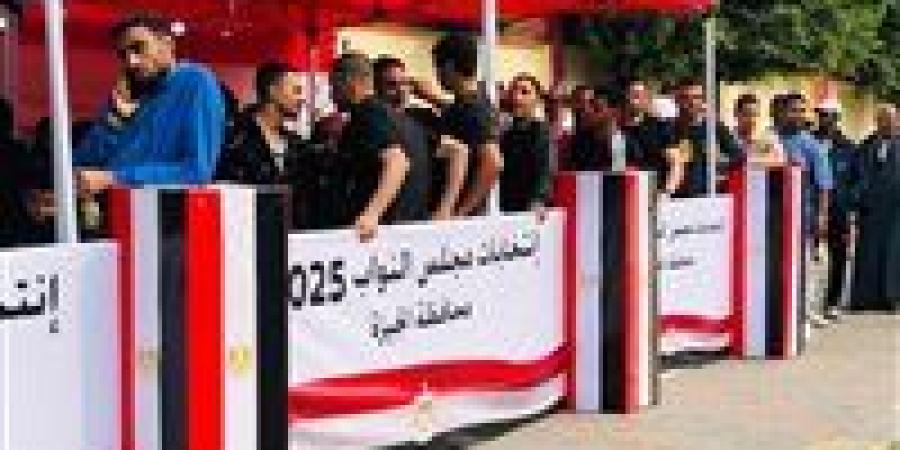 عــــاجل | قرار مرتقب بإلغاء جولة الإعادة في الدوائر الملغاة بحكم الإدارية العليا