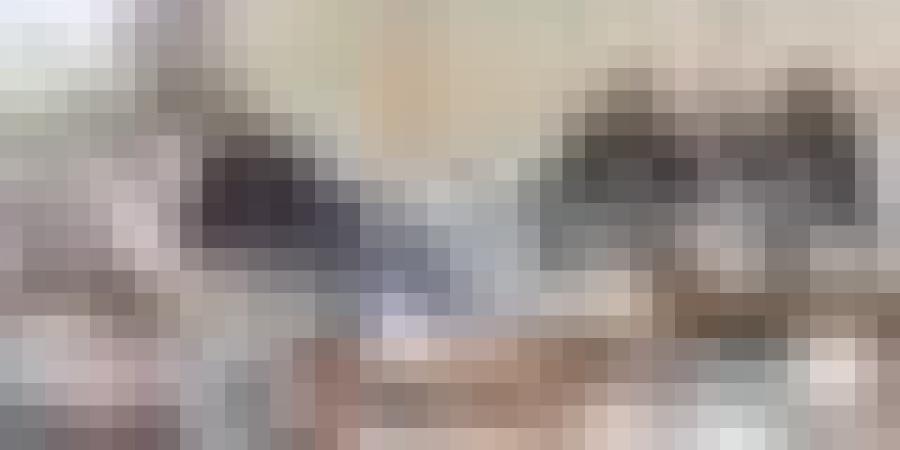 اتفاق بتسريع وتيرة المشروع الفلاحي لبونيفيكي الإيطالية في تيميمون