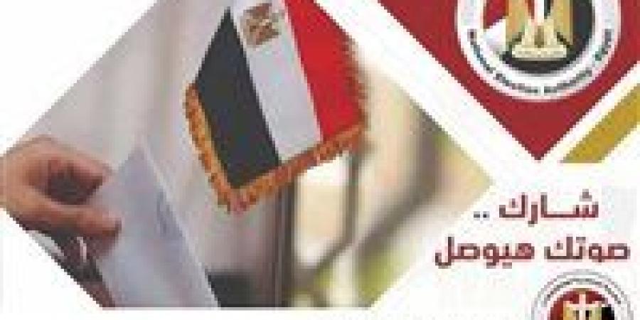 لماذا ألغيت انتخابات النواب في دائرة البلينا بسوهاج