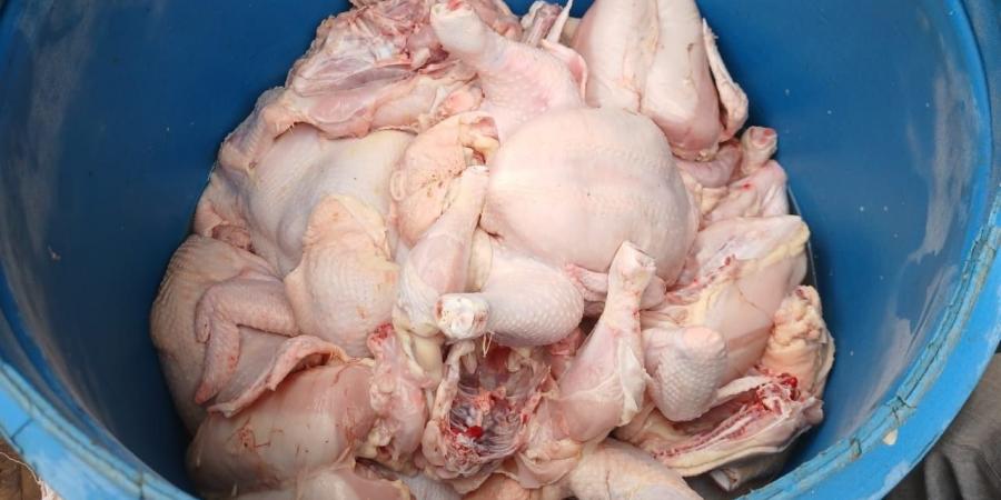 ضبط ما يقرب من 2 طن لحوم ودواجن غير صالحة للاستهلاك الآدمي بالمنوفية