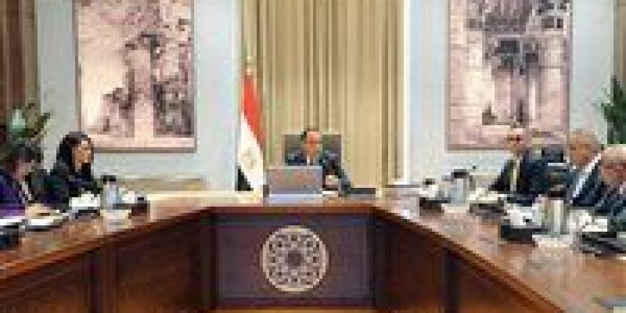 رئيس الوزراء يستعرض الهيكل التنظيمي لوحدة إعادة هيكلة الشركات المملوكة للدولة