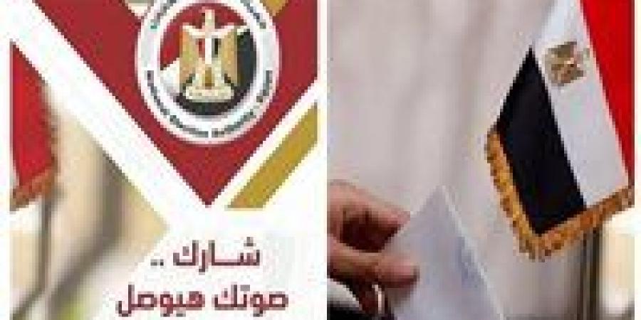 الهيئة الوطنية لم تلتزم بالقانون.. حيثيات إلغاء انتخابات النواب بالدائرة الثالثة في الأقصر