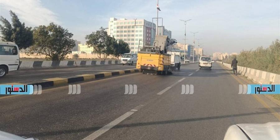 حملات لرفع المخلفات وتطوير المسطحات الخضراء في أحياء كفر الشيخ