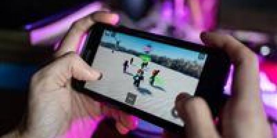 الدول العربية تتحرك لحظر لعبة «روبلوكس» عبر الإنترنت بسبب مخاوف تتعلق بسلامة الأطفال