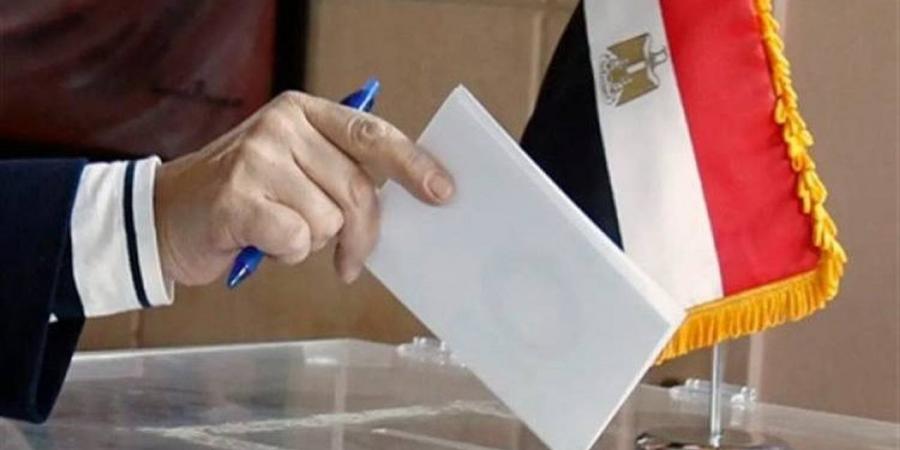 إقبال متزايد من المصريين بالأردن في اليوم الأخير لتصويت الدوائر الملغاة بانتخابات النواب