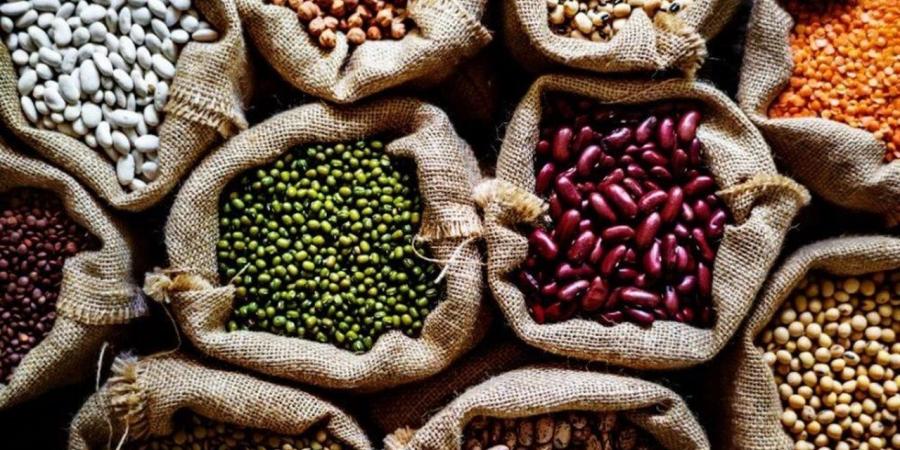 أسعار البقوليات في الغربية اليوم الثلاثاء 2 ديسمبر 2025