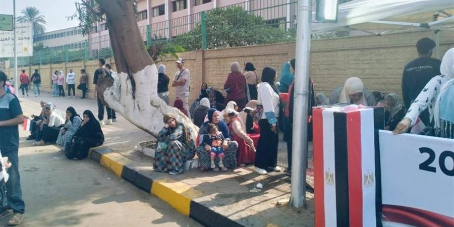 المنظمة العربية لحقوق الإنسان: النظام الانتخابي في مصر مرن وحيوي