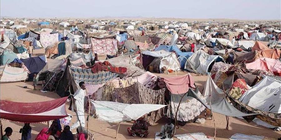 "العفو الدولية" تتهم مليشيا الدعم السريع بارتكاب جرائم حرب بمخيم زمزم للاجئين