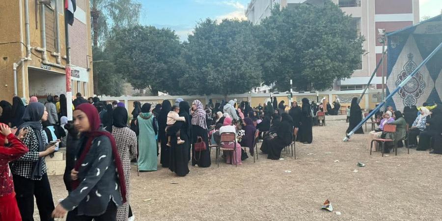 "التنسيقية": استمرار توافد الناخبين بقنا للتصويت في انتخابات مجلس النواب 2025