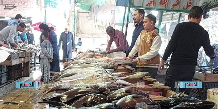 أسعار الأسماك والمأكولات البحرية في السويس اليوم الأربعاء 3 ديسمبر 2025