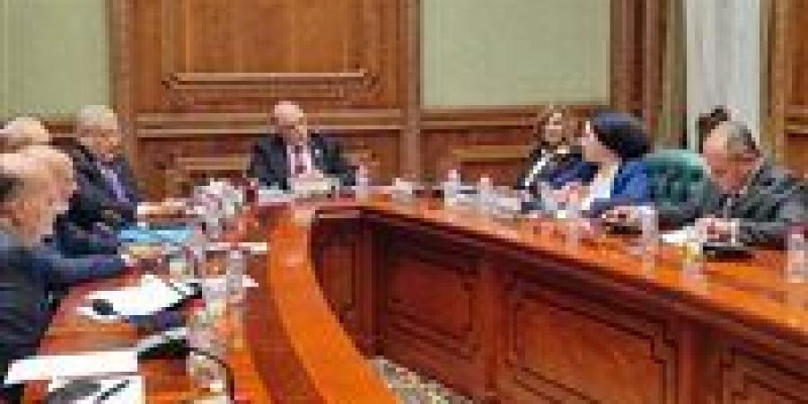 أمين سر تضامن الشيوخ: العنف ضد المرأة يتطلب معالجة تشريعية موحدة.. تؤكد على توعية كبار السن من الاحتيال