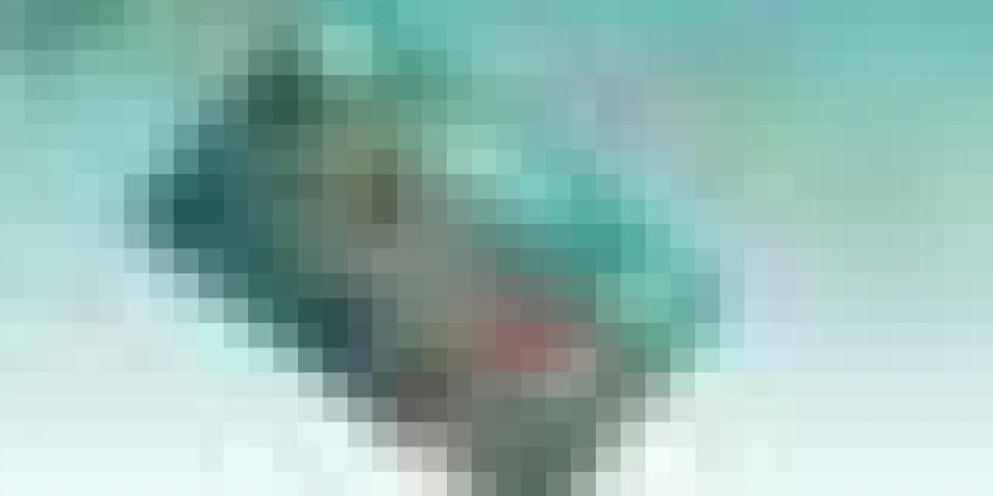 اتفاقية شراكة بين بريد الجزائر وشركة "تيكنو" لفائدة الطلبة