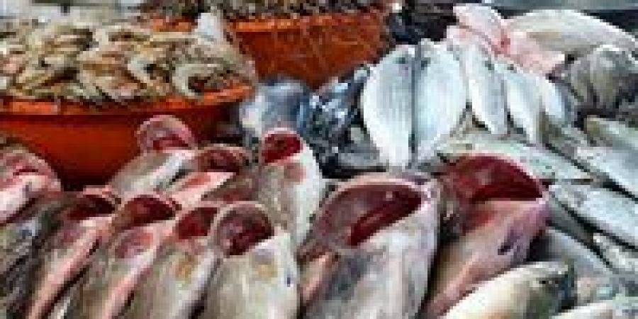 سعر السمك البلطي والجمبري والكابوريا في الأسواق اليوم الخميس 4 ديسمبر 2025