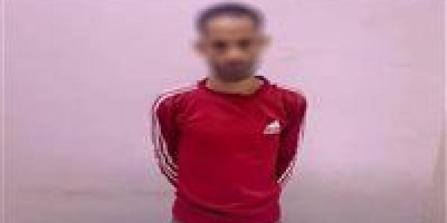 ضبط شخص بحوزته بطاقات شخصية لاستخدامها في توجيه الناخبين بقنا