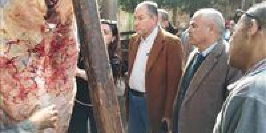 ضبط 121 كيلو لحوم مذبوحة خارج السلخانة بحملة رقابية بمغاغة في المنيا