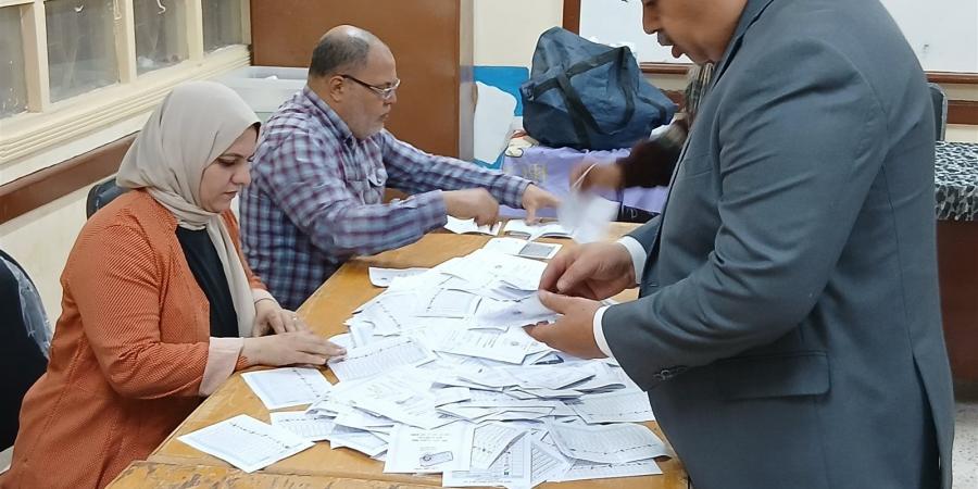 غلق باب التصويت في لجان جولة إعادة انتخابات النواب بدائرة الرمل وبدء عملية الفرز 