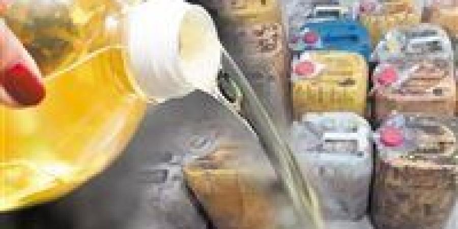 أول مشروع من نوعه في مصر.. تحويل زيت الطعام المستعمل إلى وقود طائرات